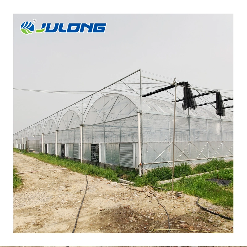 China Hydroponics Strawberry Growing System Suppliers Agricultural Greenhouse Metal Frame for Sale