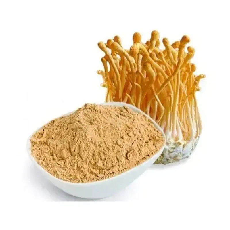 Extrato herbal fornecimento de fábrica extratos orgânicos Cordyceps mycelium Cordyceps sinensis