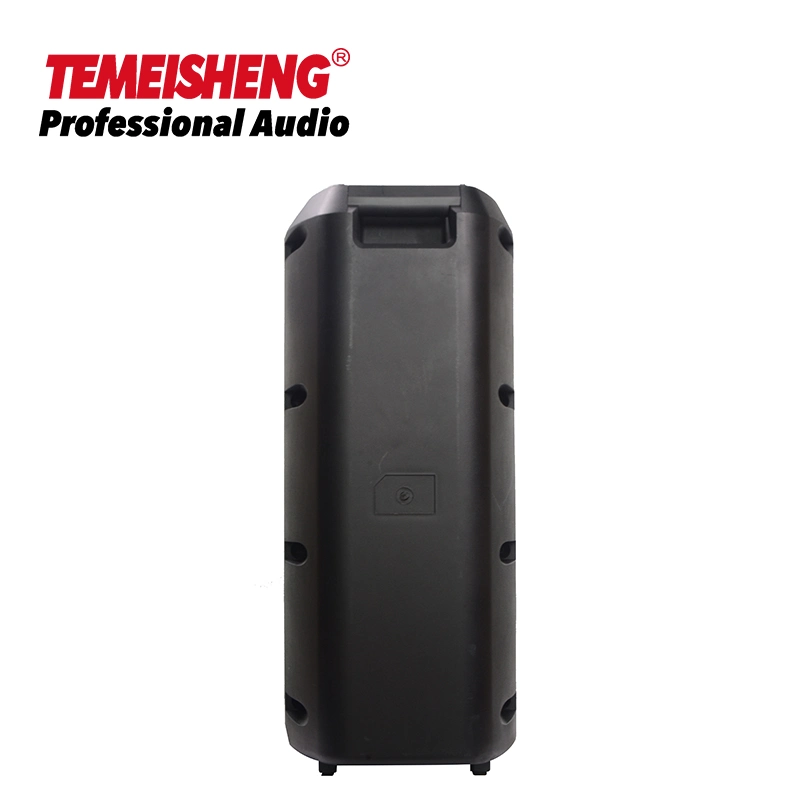 Temeisheng TMS-608 Nouveau produit Haut-parleur multifonction DJ Lights Haut-parleur mobile Enceinte TWS Box