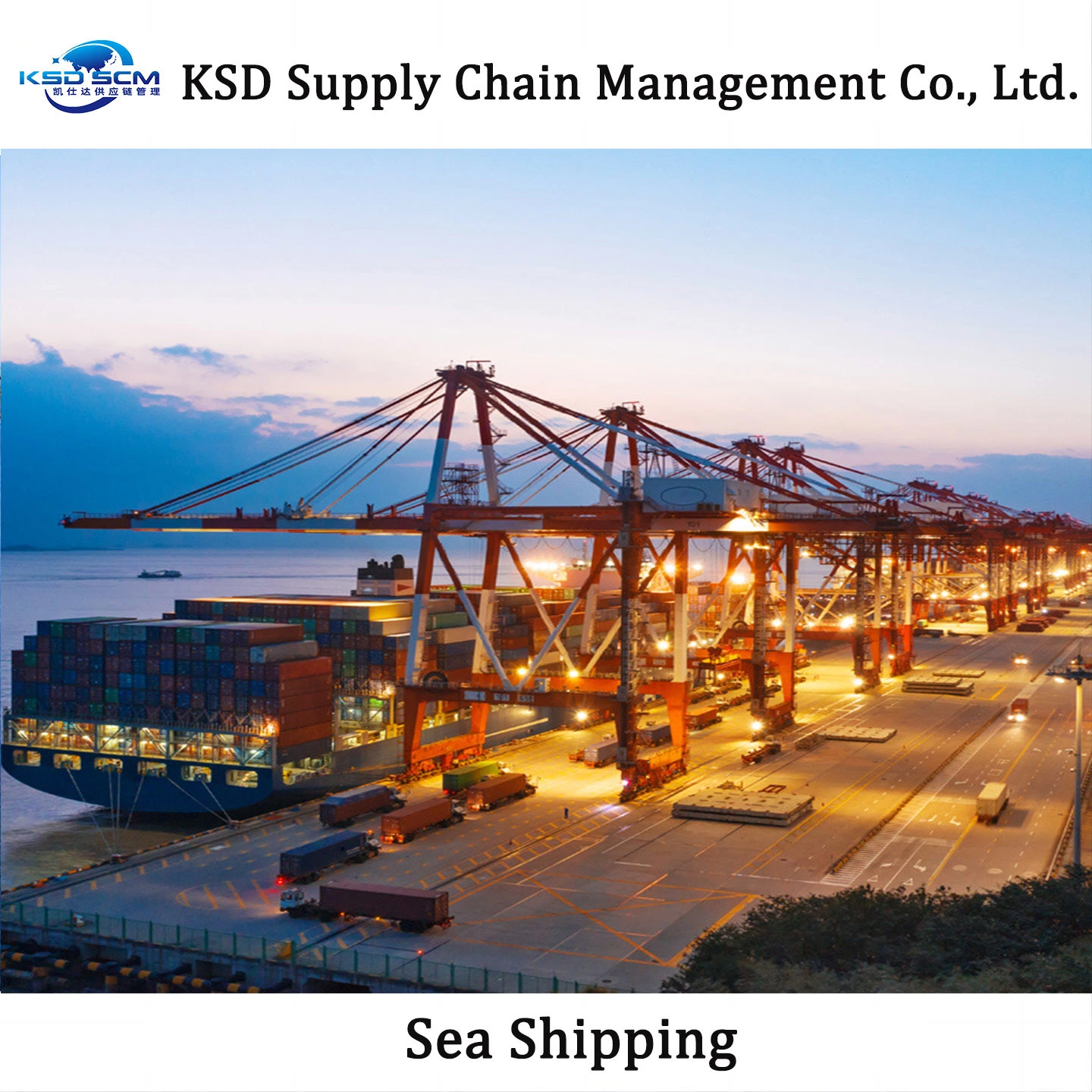 Spedition LCL Consolidators Sea Shipping in China nach Indian Am billigsten und schnellsten