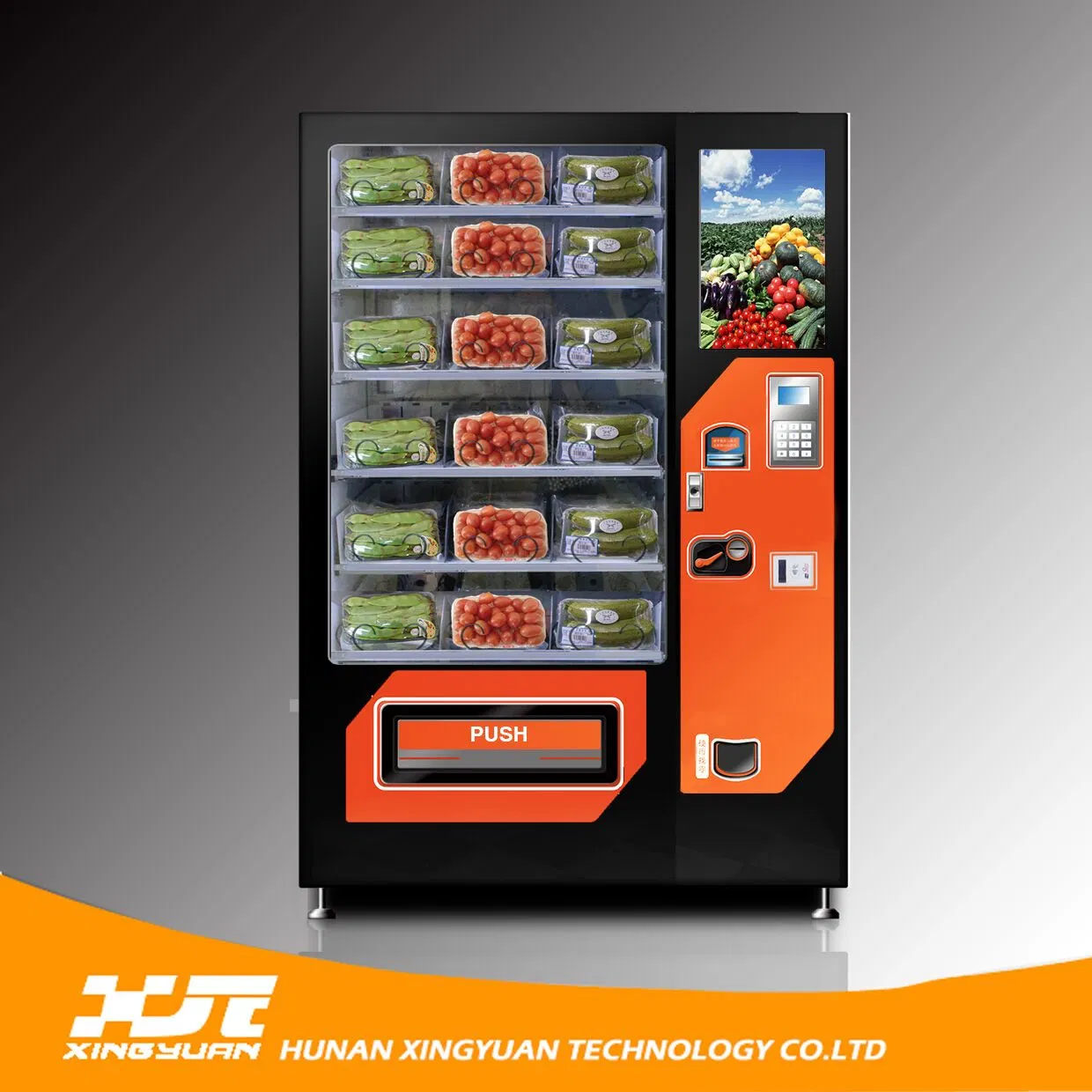 Xy Vegetables and Fruit Salad with Conveyor Vending Machine 22 Inch Touch Screen