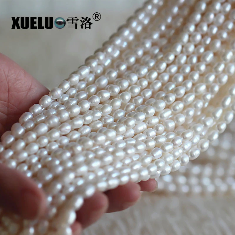 5-6mm Rice Shape Cheap Natural Cultured Freshwater Pearl String Wholesale/Supplier