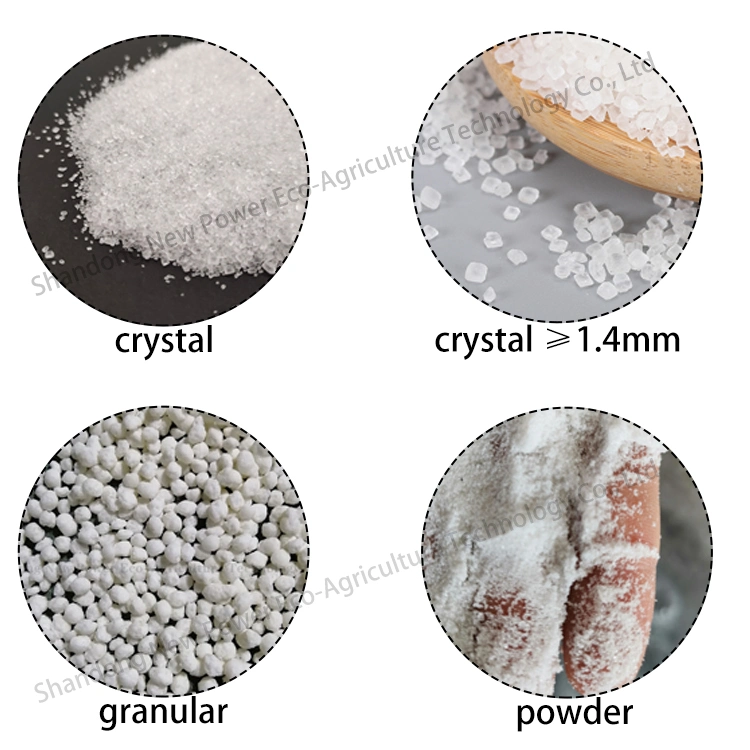 Cristal de adubo ou granular de sulfato de amónio