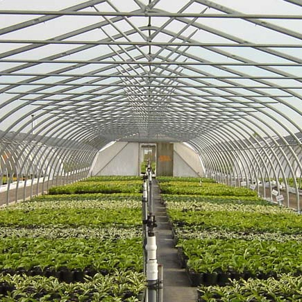 2023 Low Cost Agricultural Single-Span Film Green House for Vegetables