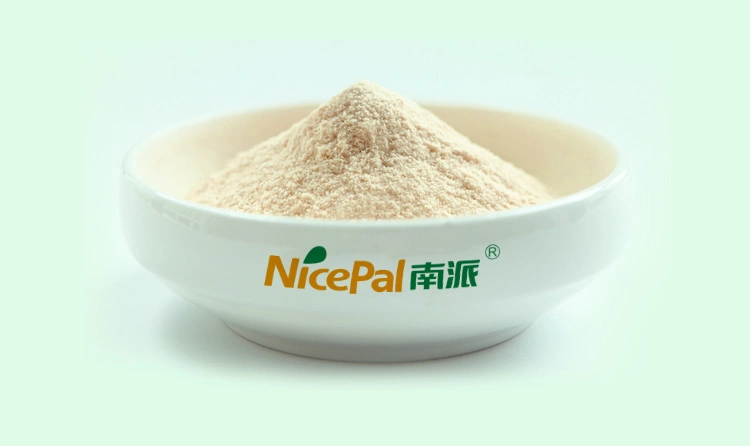 Best Quality Lemon Powder Beverage Powder