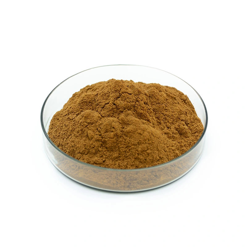 Herbal Extract Organic Dandelion Leaf Powder Natural Dandelion Root Extract