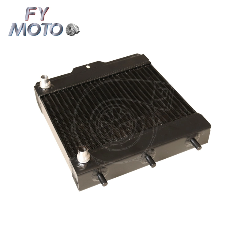 China Manufacture for BMW M3 Black Aluminum Radiator