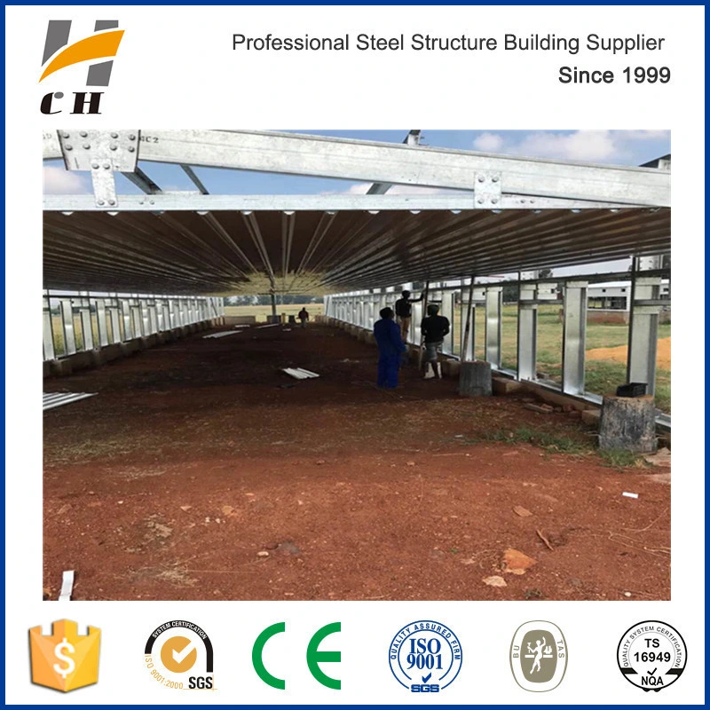 Prefab Steel Structure Poultry Farm Construction