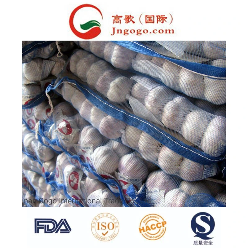 Exportar Boa qualidade de carne fresca de alhos chineses legumes frescos Alho fresco