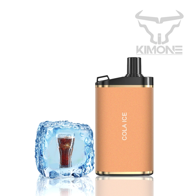 OEM 4000 Puffs Mehs Coil 10ml Vape Juice Rechargeable Disposable/Chargeable Ecig