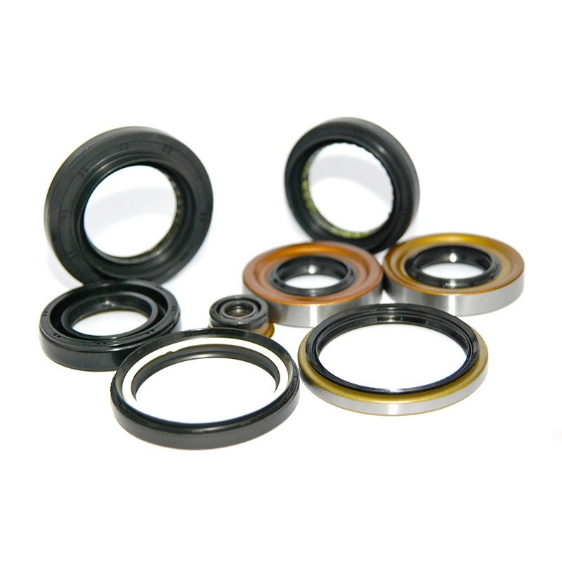 Electric Vehicle Motor Bearing Rubber Skeleton Tc NBR FKM Oil Seal Wholesale/Supplier Seal Ring Washing Machine Waterproof Oil Seal Dustproof Rubber Sealing O Ring Seal