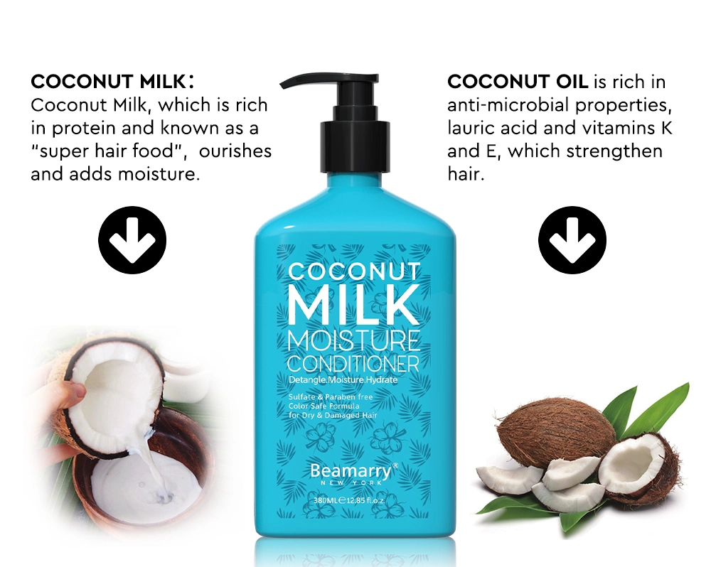 380ml Private Label Factory Price Hair Beauty Products Salon Professional Hair Care Products Coconut Milk Moisture Conditioner for Dry & Damaged Hair