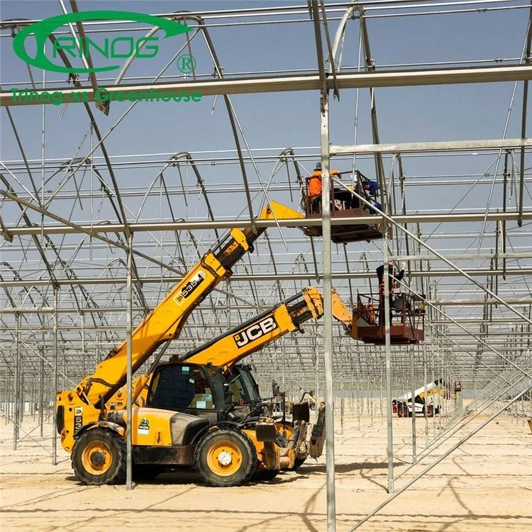 High quality/High cost performance  China Supplier Multi-Span Film Greenhouse with Side Vent and Roof Vent for Agriculture Production