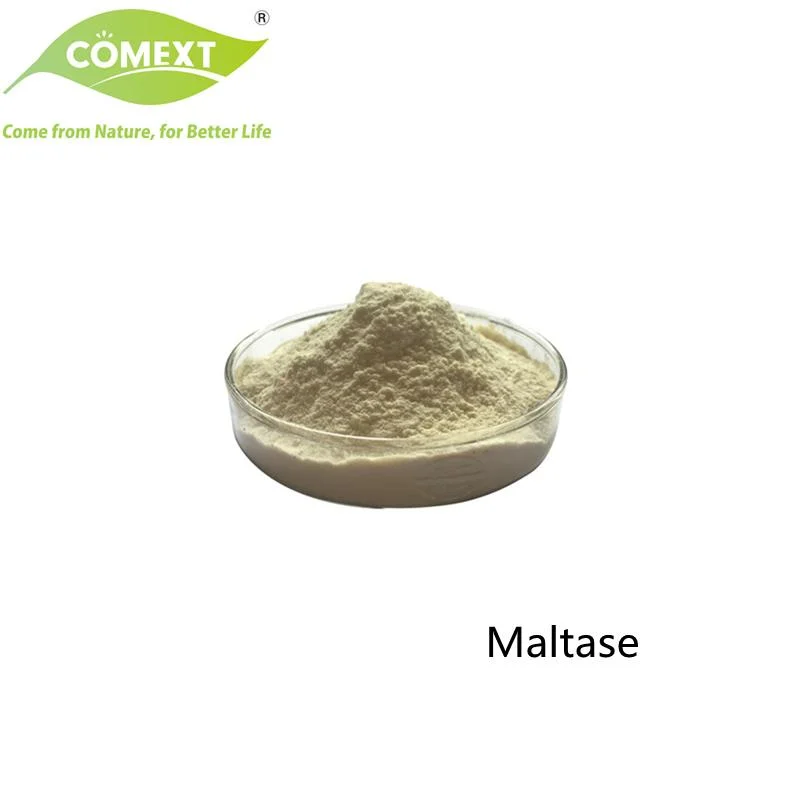 Comext Factory Food Grade Melhore a digestão Aspergillus oryzae 9, enzima 000 U/G Maltase