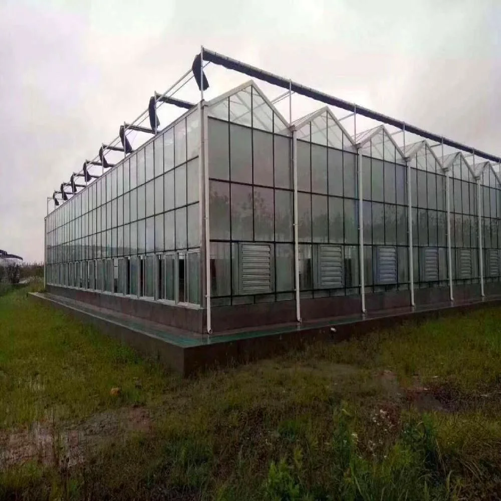 Agricultural/Commercial/Farm/Garden Vnlo Type Multi- Span Polycarbonate PC/Glass/ Film Covered Greenhouse for Vegetable /Tomatoes/Cucumber/Peppers/Strawberry