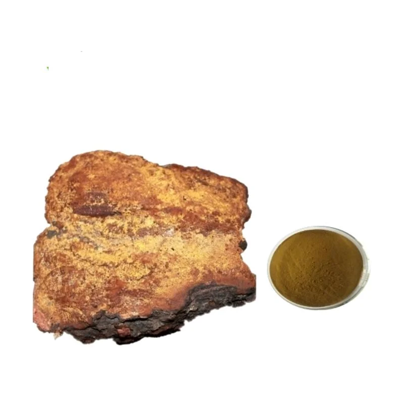 Top Quality 30% Polysaccharide Chaga Mushroom Extract