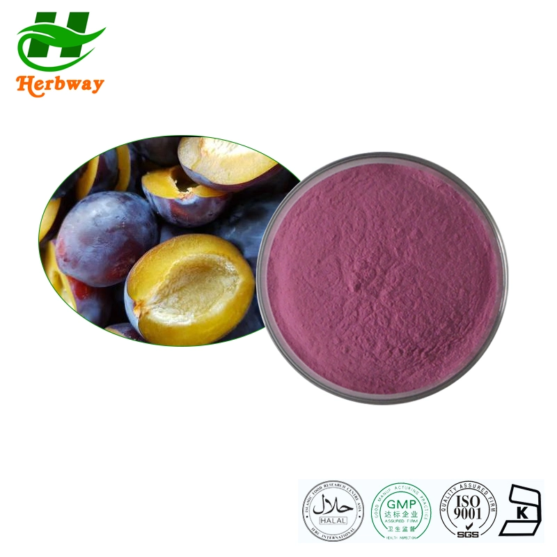 Herbway Kosher Halal Fssc HACCP Certified Wholesale/Supplier Price Instant Concentrate Powder