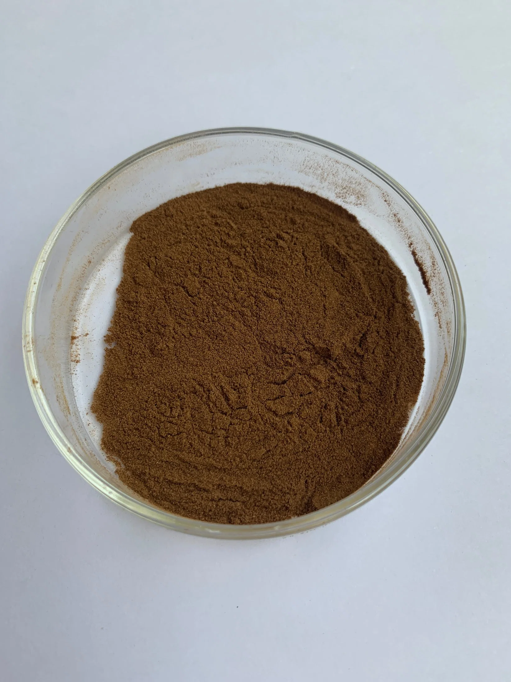 High quality/High cost performance  Grape Seed Proanthocyanidins Plant Extract Oil Price Grape Seed Extract Powder