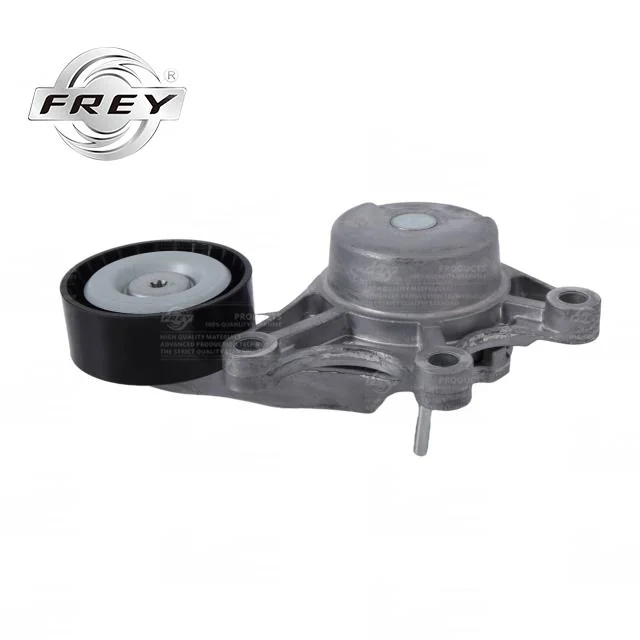 OEM 11287594969 BMW F18 F20 F07 F25 E84 F35 F15 F16 F34 ensemble tendeur de courroie de distribution du moteur Frey Auto Parts