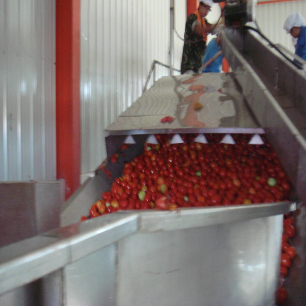 La pâte de tomate