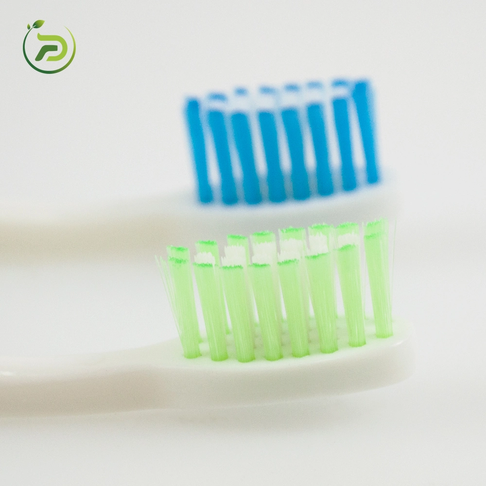 OEM Eco-Friendly Adult/Child/Kid Personal Care Toothbrush 2023