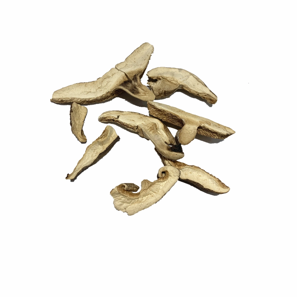 Wholesale/Supplier High quality/High cost performance  Sliced Dried Shitake Mushrooms