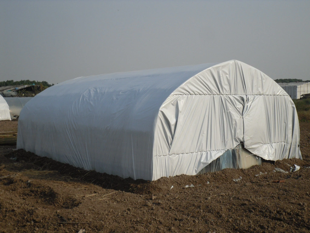 Vegetable Used Mart Agricultural Plastic-Film Greenhouse for Sale