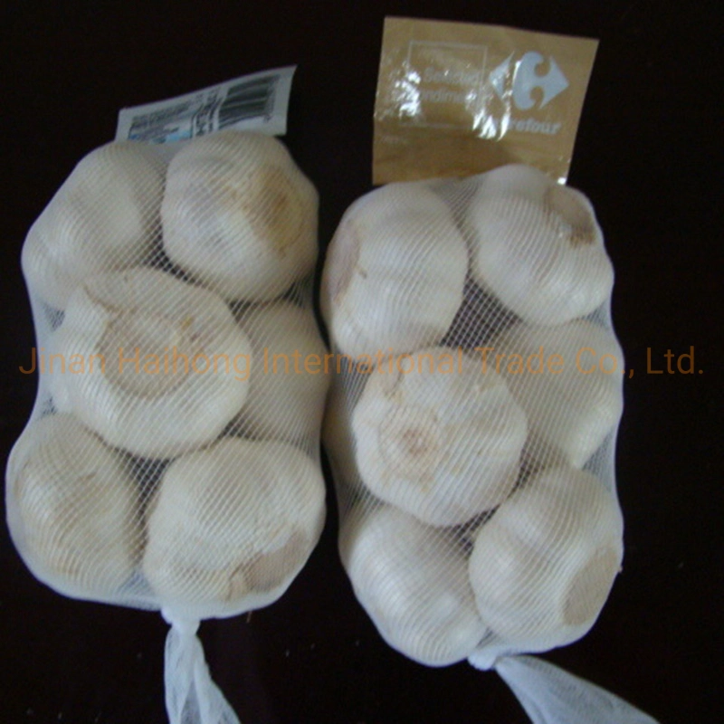 Clean Normal White Garlic in Mesh Bag