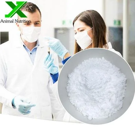 ISO Certificated High quality/High cost performance Cosmetic/Food Grade Hyaluronic Acid Powder in Stock