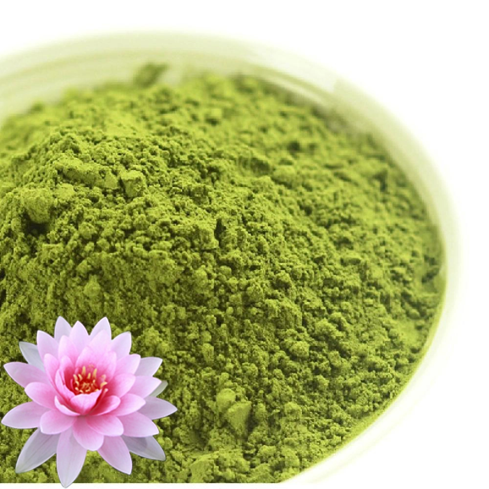 EU Certification Organic Green Tea Powder 100% Natural Pure Lotus Flavor with Highest Quality