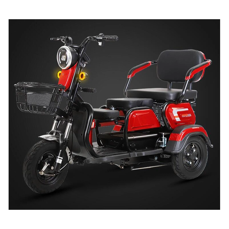 Motorcycle 3 Wheel for Delivery Truck 300cc Fat Tire Battery 3wheel Parts EEC Controller Trailer Motor Adults Electric Tricycle