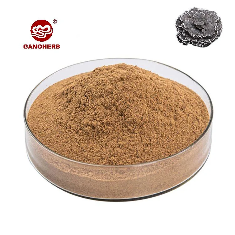 OEM Leading Supplier of Good Quality 100% Pure Private Label Turkey Tail Mushroom Extract Powder at Wholesale/Supplier Price