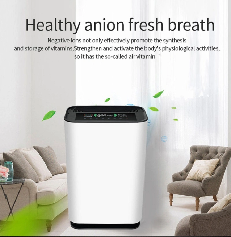 HEPA UV Home Air Purifier Humidifier with Timer Anion Purification