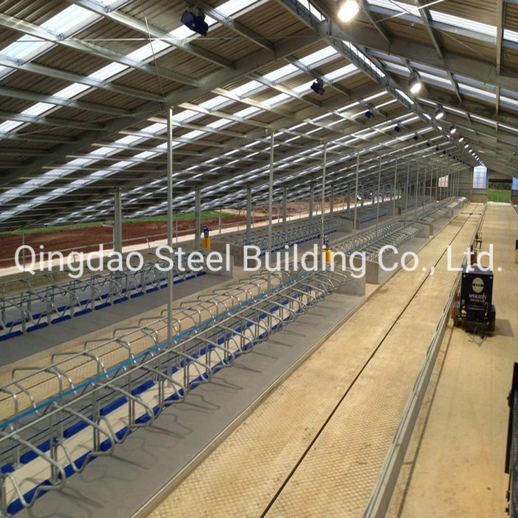 Low Cost Livestock Equipment Prefab/Prefabricated Gavanized Steel Structure Cow House