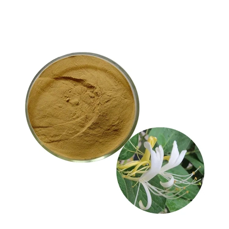 2022 Лучшая продажа Honeysuckle Flower Extract / Chlorogenic Acid Powder /Honeysuckle Medicine Херб