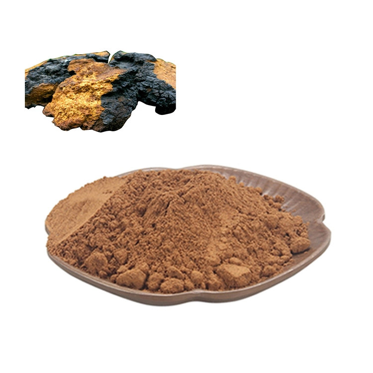 Mushroom Powder Chaga Extract Natural Pure Dark Brown Fine Powder Health-Care Products