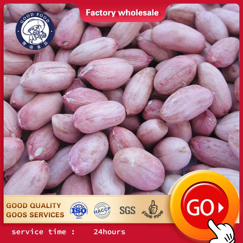 Chinese Good Quality Red Skin Raw Groundnut Kernel Peanuts