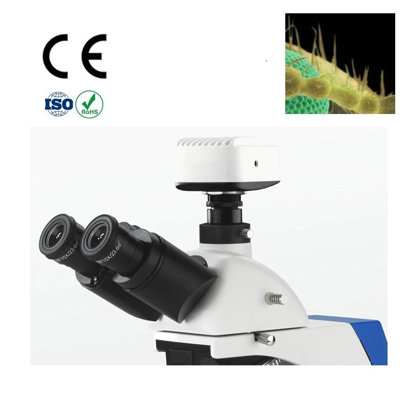 1600X Trinocular Biological Student Microscope with Eyepiece Tube Dia. 30mm 360 Degree Rotatable