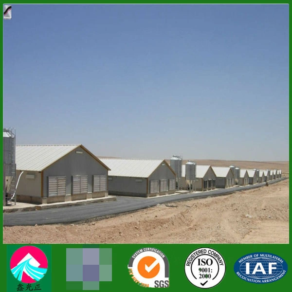 Structure en acier préfabriqué sur mesure Construction d'une ferme avicole conçue avec certificat ce, CSA&amp;AS haute qualité