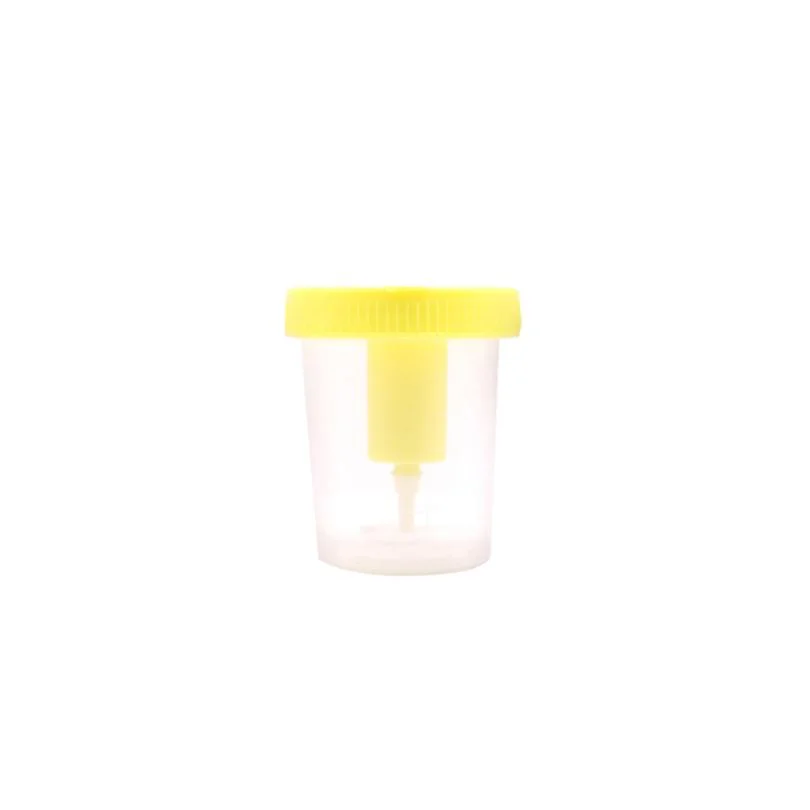60ml 120ml Sterile Sample Vacuum Urine Container Disposable Specimen Plastic Cup with Vacuum Urine Collection Tube