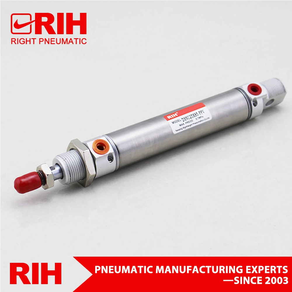 Dsnu Series Dsnu20 X100 CE Standard Pneumatic Piston Air Cylinder