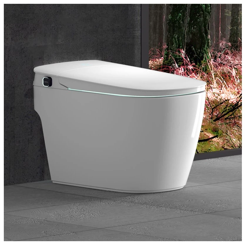 2023 Verdonow Auto Flush Smart Wc Toilet Bowl