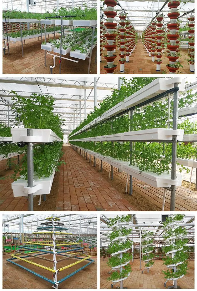 China Products Hydroponics System - Landwirtschaft Pflanzen Hydroponisches Gewächshaus