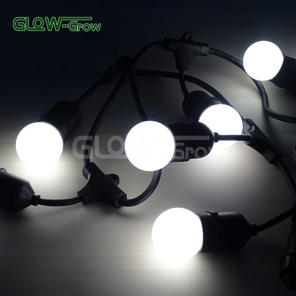 Christmas Round Cable and Flat Cable LED Belt Festoon Light for Garden Home Wedding Party Decoration