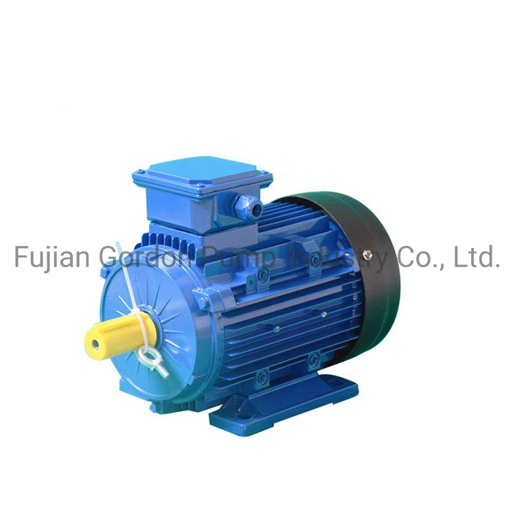 Aluminum Housing Three Phase Electric Motor