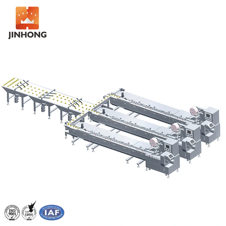 Automatic Servo Control Feeding System For Single/Two/Three Pieces Pillow Packing Machine