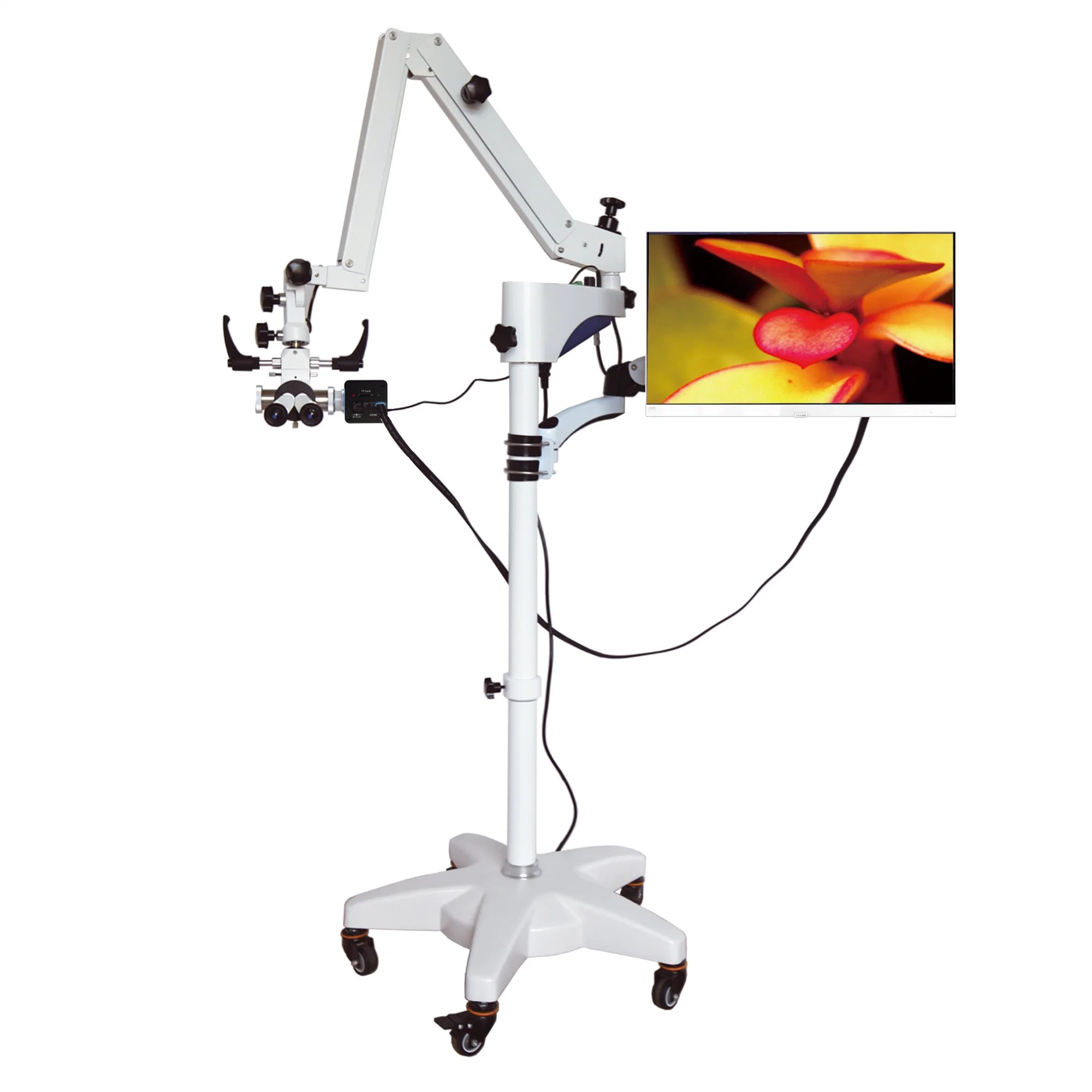 Ltne30 Surgical Surgery Straight Ent Operation Microscope