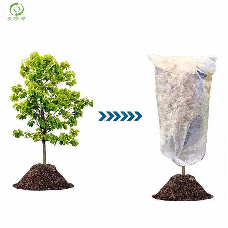 Agriculture Protection Cover Plant Cover Nonwoven PP Spunbonded Fabric