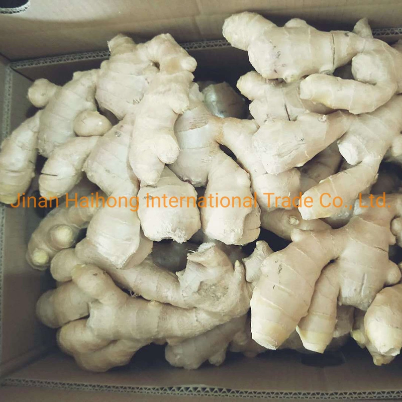 Fresh Dried Semi Dry Ginger From China