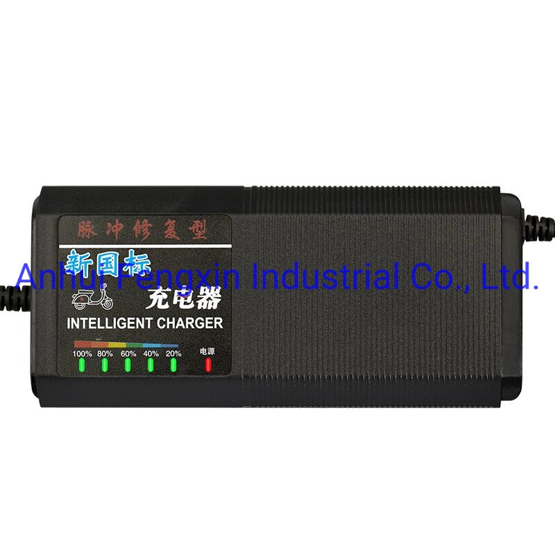 48V6A E-Bicycles/E-Scooters/Household-Appliances/Golf Vehicle Lithium Battery Charger